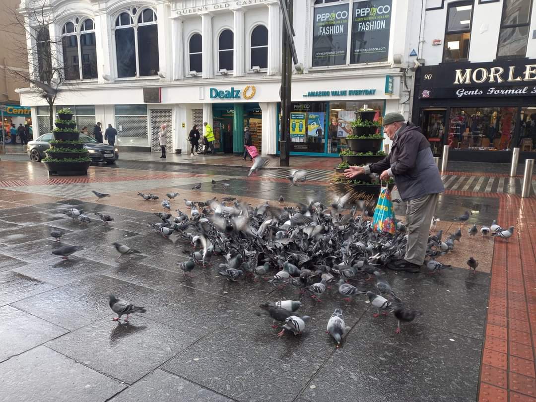 The late Frank O'Flaherty feeding the pigeons at Daunt Square in #CorkCity in January 2022. He recently passed away and was known as The Birdman. May he rest in peace.
