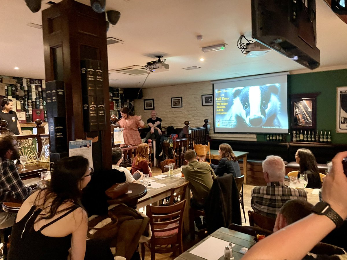 Day 3 of #Pint24: @pintofscienceIE is in @SlatterysBar speaking on misunderstood urban #gulls 🪶, carbon capture through #saltmarshes 🌍, & monitoring + vaccinating #badgers 🦡 ending the final day of the festival in poetic fashion 🥹