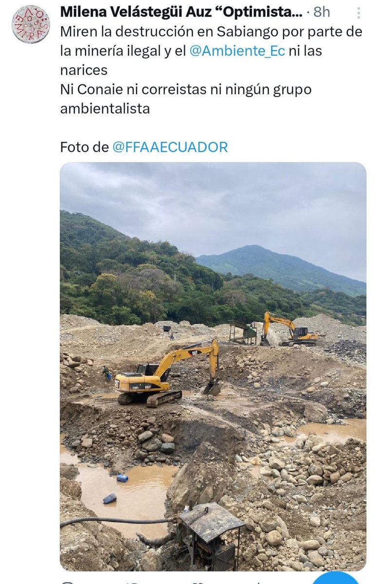 Dónde están los activistas que jodieron por la poda de 20 árboles de Saman en Olon ?  Esto es pepa, aquí es donde tienen que armar un escándalo monumental , dejen de ser hipócritas.