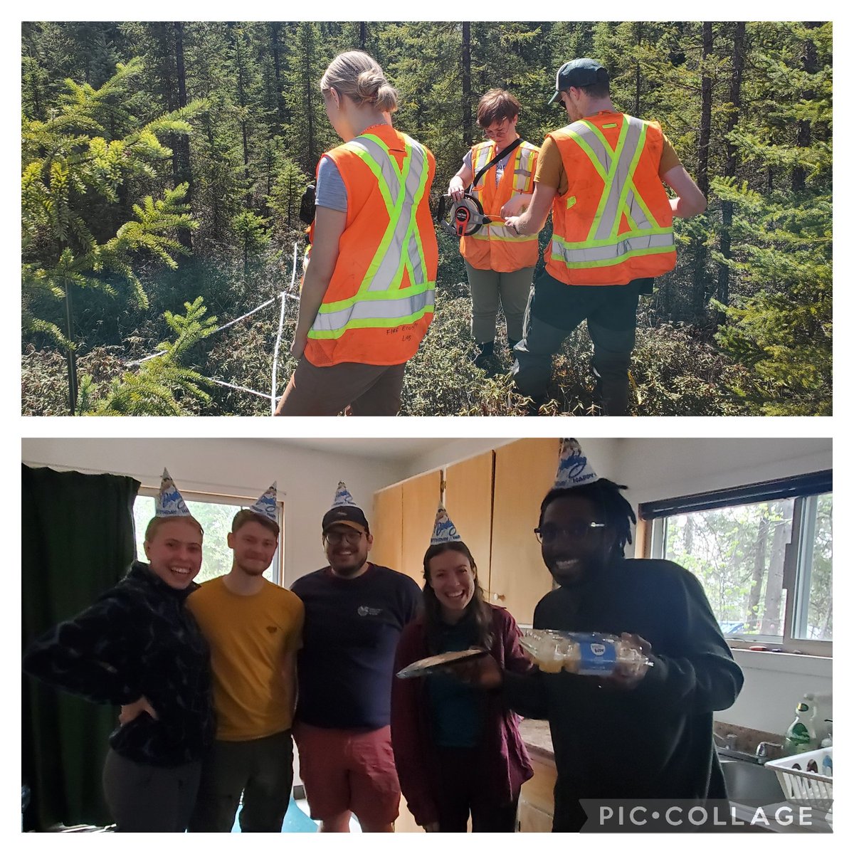 Great recce of burned and harvested peatlands this week at Tomahawk AB with @SuperMossSophie and @peatofmind students as part of @NSERC_CRSNG Alliance. And this happened 🥳! Such a memorable, sweet thought for my birthday!