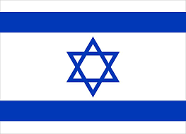 WHAT DOES THIS FLAG MEAN TO YOU?