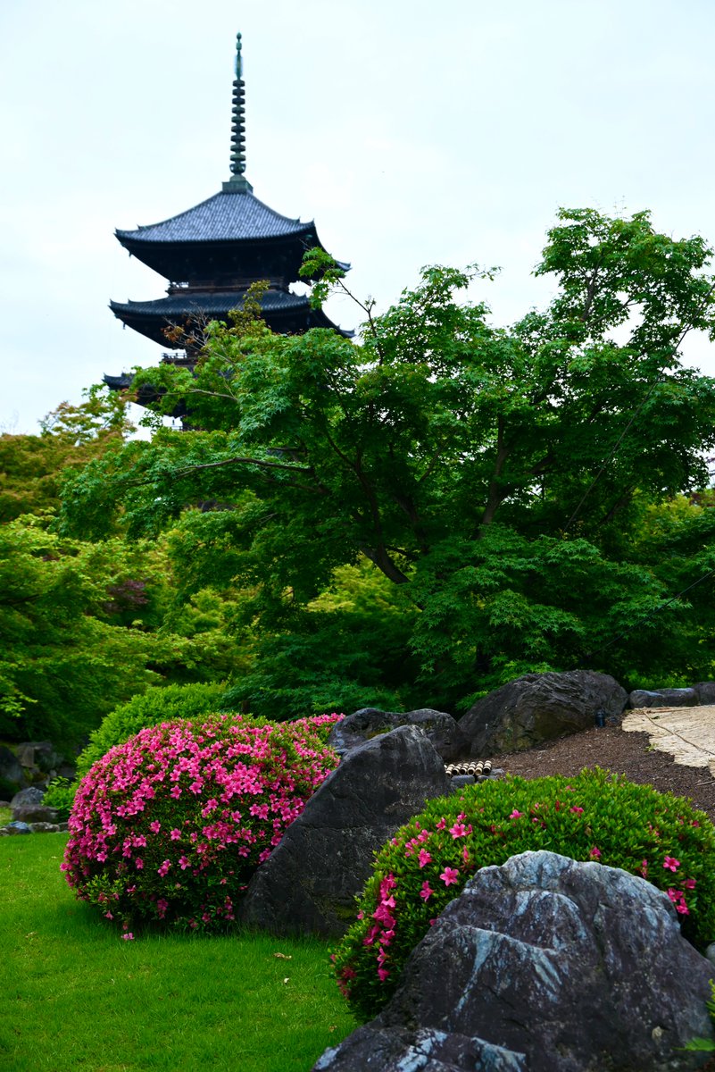 石平が観た日本の風景と日本の美
令和6年5月、晩春の京都・東寺散策