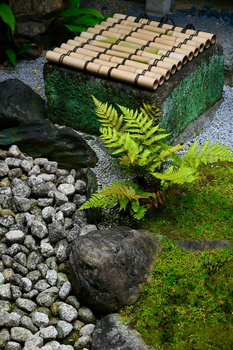 石平が観た日本の風景と日本の美
令和6年5月、晩春の京都・東寺散策