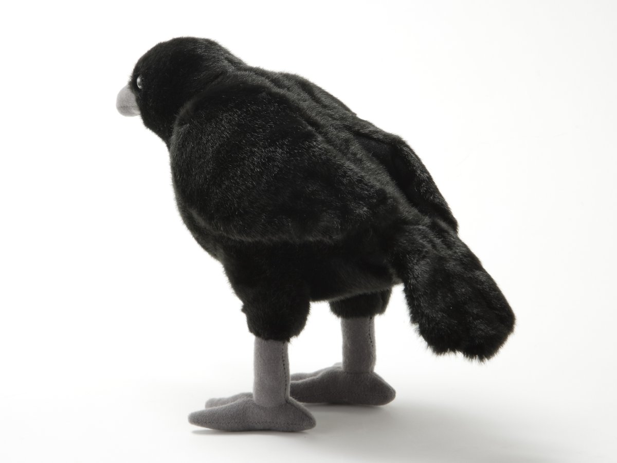 カラスのぬいぐるみ再入荷／ こちらの「カラスのぬいぐるみ」が再入荷