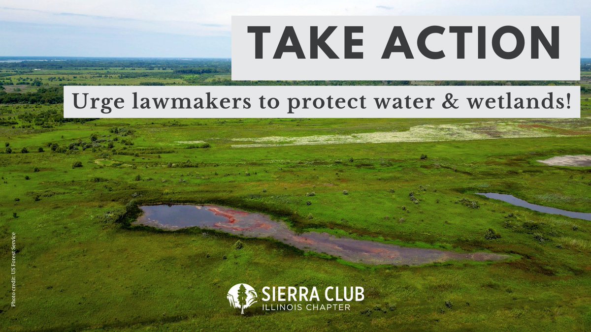 Last year, the US Supreme Court rolled back federal Clean Water Act protections. IL has already lost around 90% of its wetland acreage; we can't afford to lose more. That's why IL needs the Wetlands Protection Act! Urge your lawmakers to support the bill: sc.org/protectILwetla…
