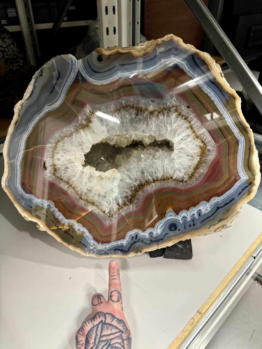 Today’s @GeolSocGlasgow trip spent the morning on a tour of the NMS Collections Centre with the awesome @NatSciNMS team & saw loads of excellent rocks & fossils (incl. this belter of an agate from Brazil!). Then we spent the afternoon on the beach looking at more rocks (obv) 🖤