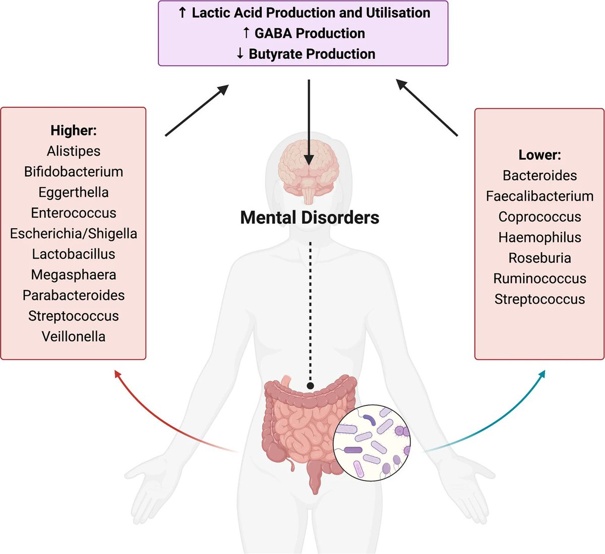 Gut microbiota act as the ‘metabolic machinery’ of mental disorders. 🧵1/10