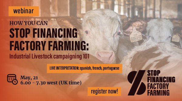 Webinar: How can you #StopFinancingFactoryFarming? Industrial Livestock Campaigning 101. 🌍🐄🚫 we'll explore strategies that have seen success in our fight for a better food system LINK HERE: us02web.zoom.us/meeting/regist…