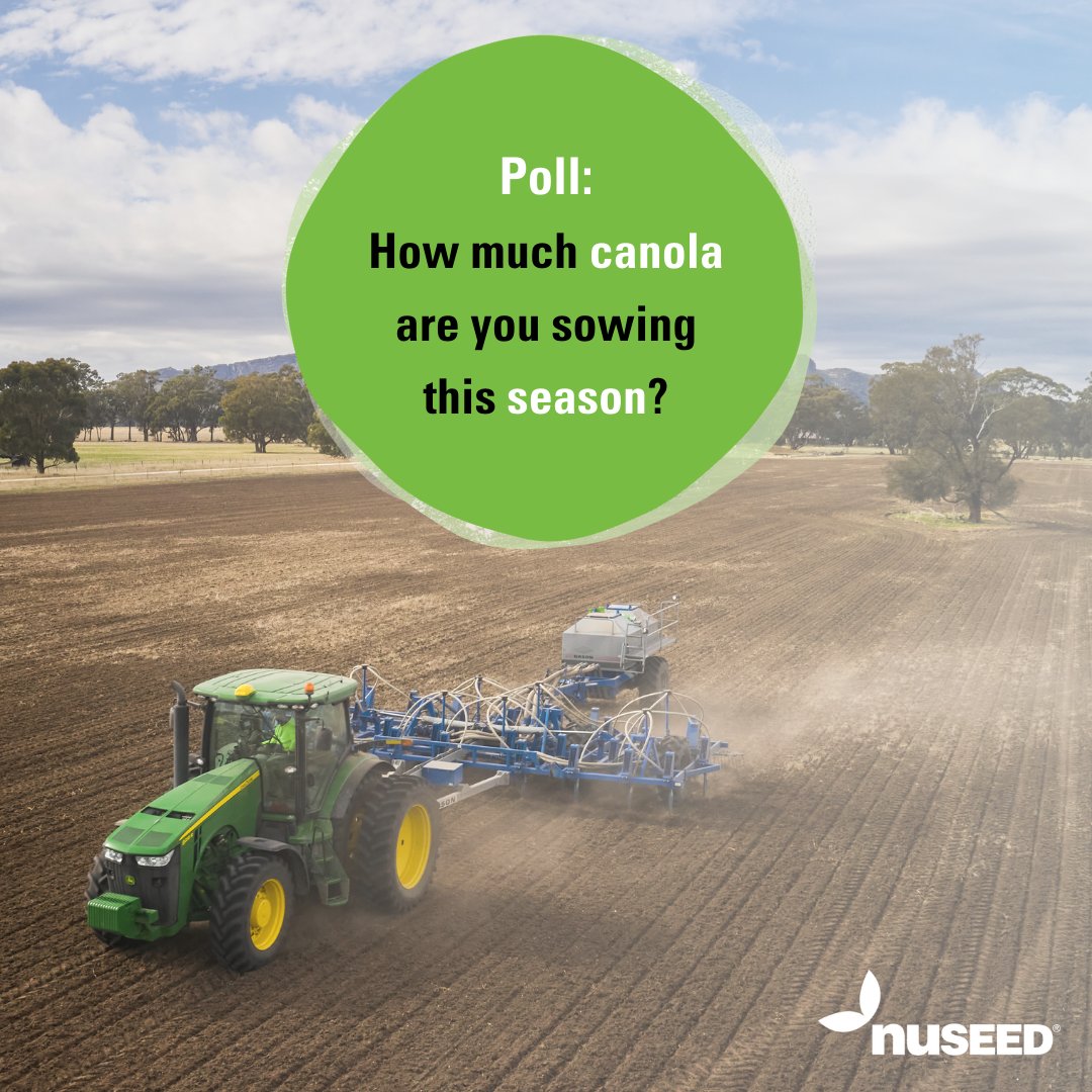 🌼How much #canola are #AussieFarmers sowing this year? 🚜🌱

Let us know by voting in the #poll below 👇

#Nuseed #Canola24 #Plant24