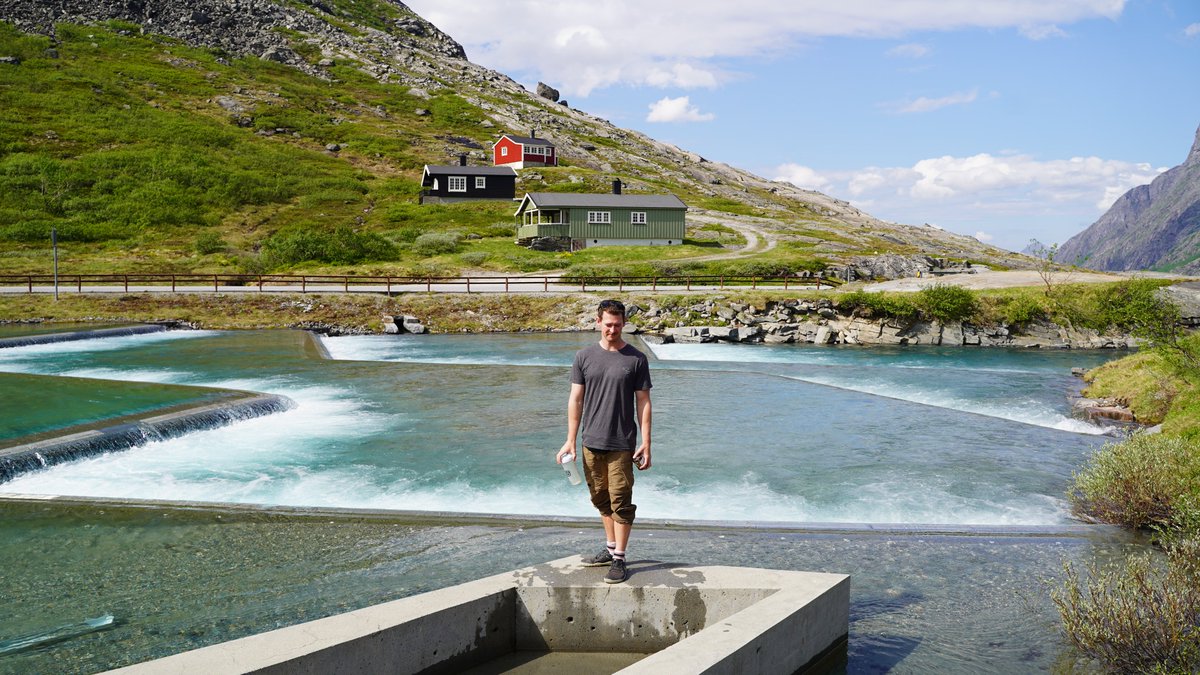 BeforeDeathOfficial tweet media