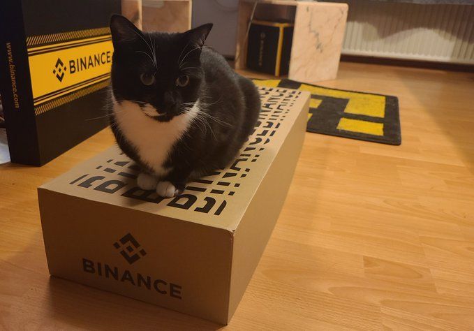 #Binance cat, on a Binance box.

Nice.