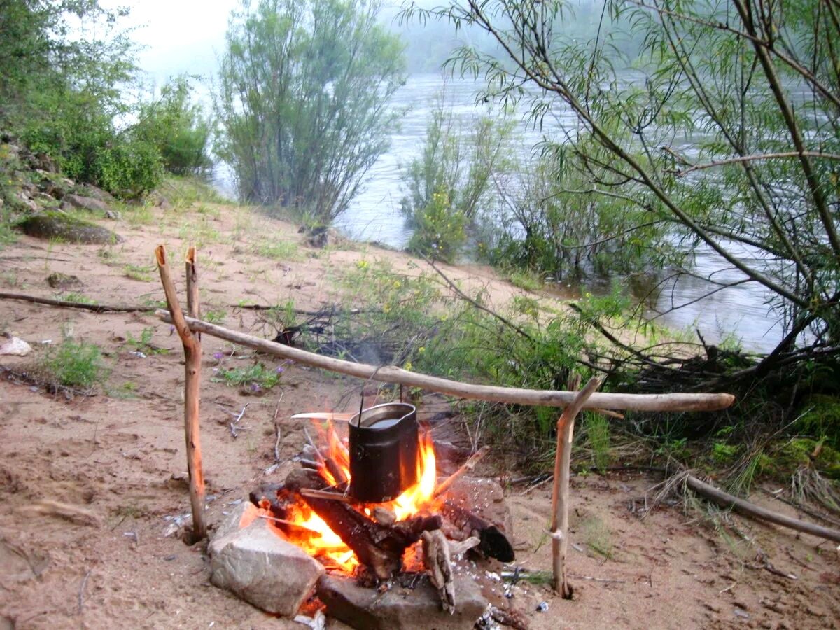 сейчас вода закипит, и вот думаю: что заварить? вариантов как бы два. 
1 - чай листовой, цейлонский, чёрный. плюс молодые листья чёрной смородины. с мёдом. плюс лимон. 
2 - кофе молотый, зерновой. запах... марку называть не буду, но крутейший! 
ваше мнение? 
доброе утро, друзья!