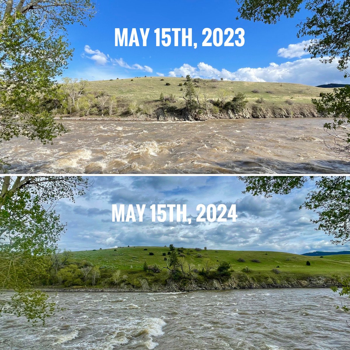 The same spot on the Yellowstone River on May 15th, 2023 and 2024.