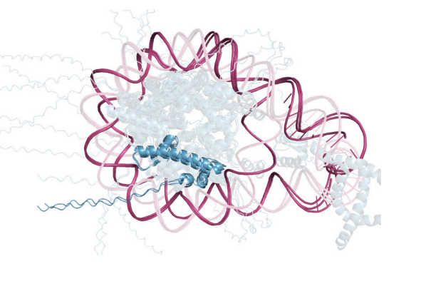 Nature earns ire over lack of code availability for Google DeepMind protein folding paper. retractionwatch.com/2024/05/14/nat…