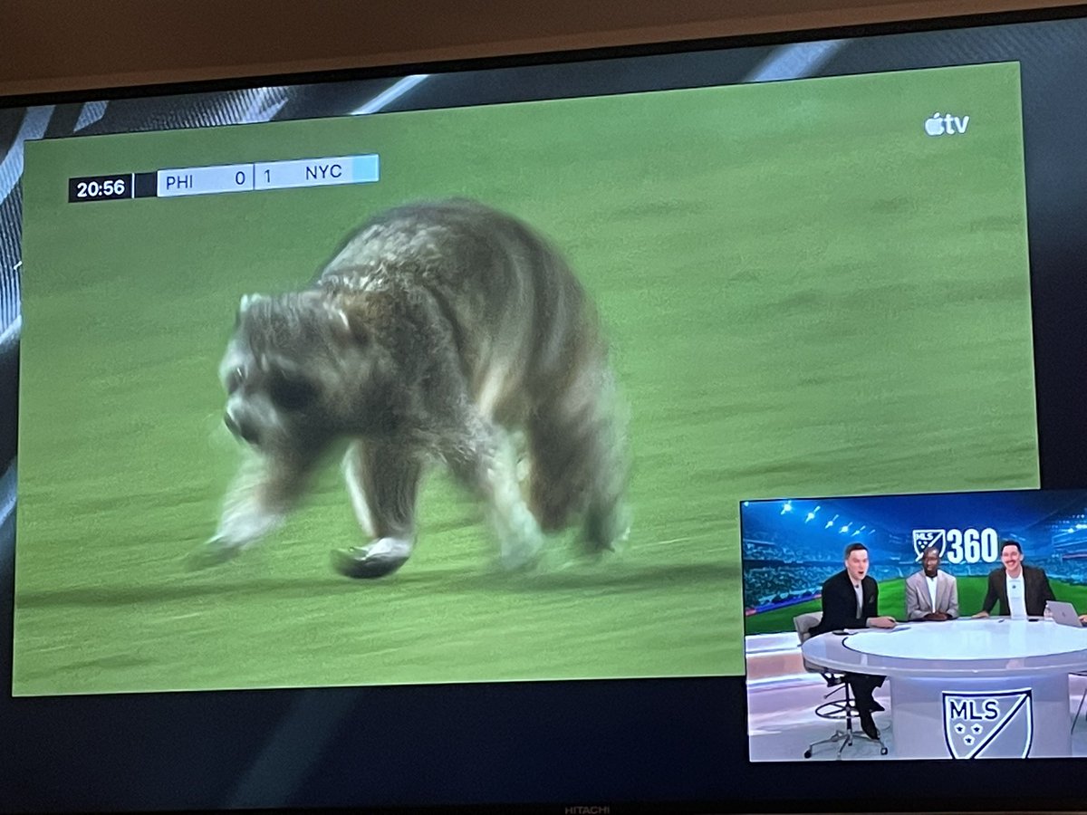 There’s a mf raccoon running wild on the field in Philadelphia