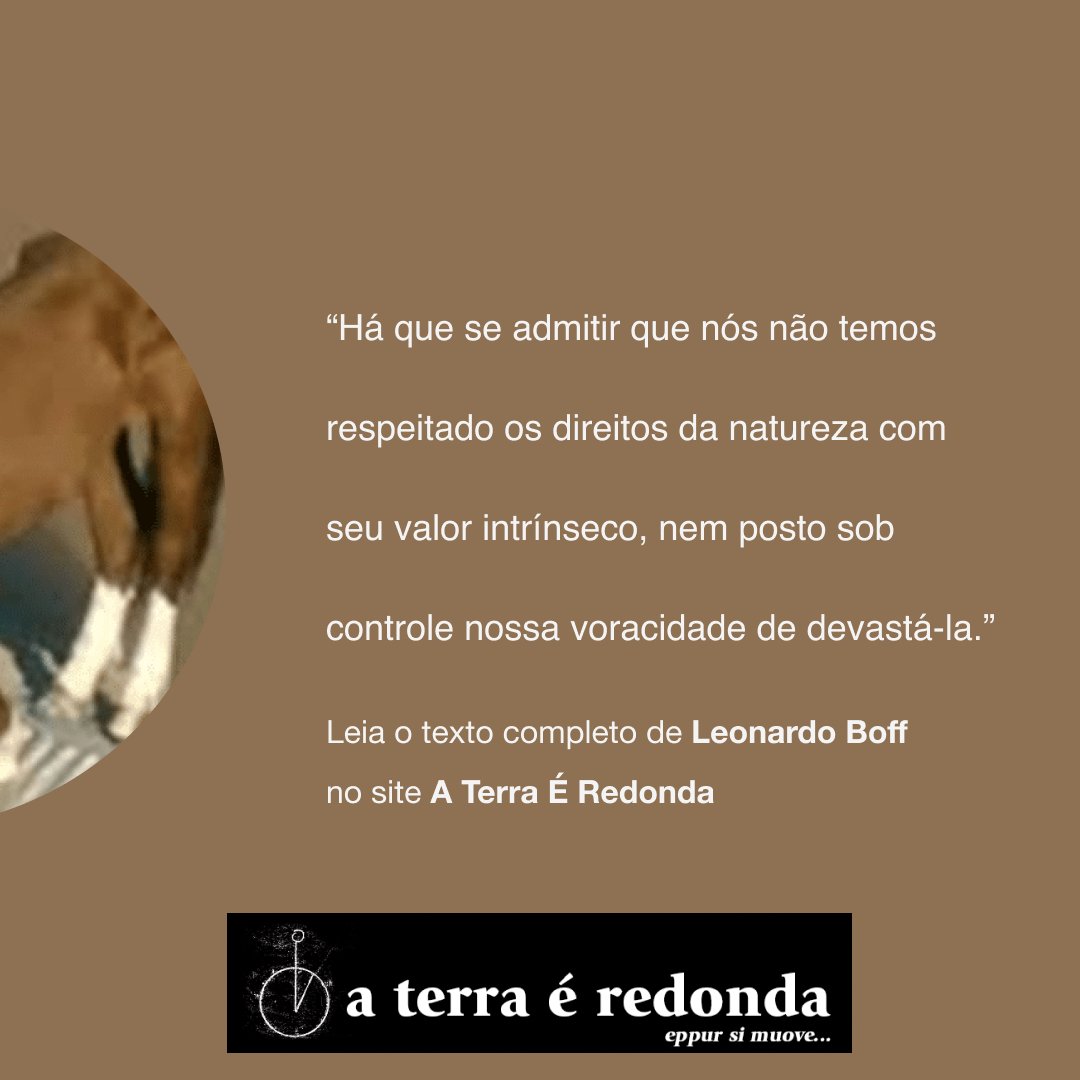 O cavalo Caramelo Por Leonardo Boff Há que se admitir que nós não temos respeitado os direitos da natureza com seu valor intrínseco, nem posto sob controle nossa voracidade de devastá-la. aterraeredonda.com.br/o-cavalo-caram… #aterraéredonda #LeonardoBoff
