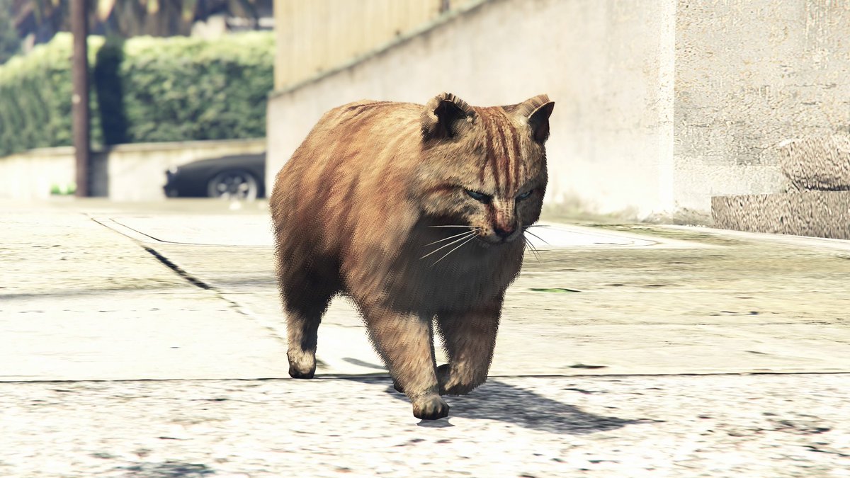 Brown Cat in Mirror Park #GrandTheftAutoV #GTAV #GTAOnline #GTAPhotography #GTAVSnapmatic #ArtisticofSociety #VGPUnite #VGPWednesday #VirtualPhotography #WorldofVP #ARTSSnapmatic #StonedFlowers #Snapmatic #RockstarGames