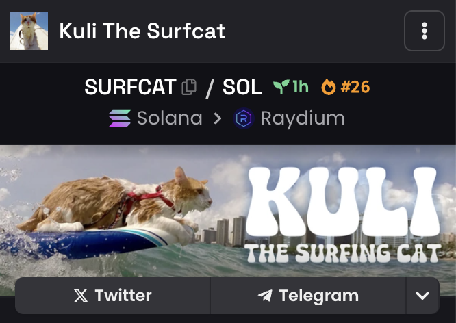 SURFCAT SOL tweet media