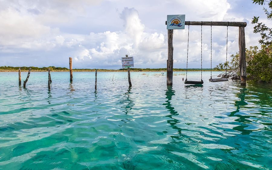 Bacalar en el Caribe Mexicano parece salido de la mente de un paisajista, pero no, es creación de la mayor artista del planeta, la naturaleza. 💧🍃☀️
@visitbacalar

📸 Shutterstock