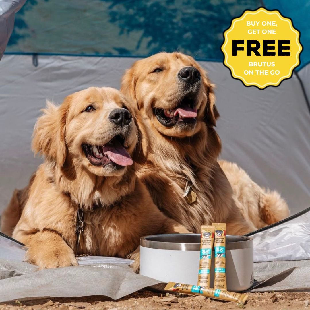 **dogs not included in sale** ⁠
It’s still #PetMonth and we’re celebrating with another sale! Now through Sunday, get a FREE Brutus On The Go pack when you buy our 5 or 10 stick pack! Add two 5-packs to cart and only pay for one. Add four and only pay for two. You get the drill!