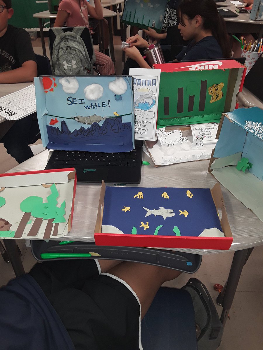 The kids presented their endangered animal research and their diorama. #bbproud