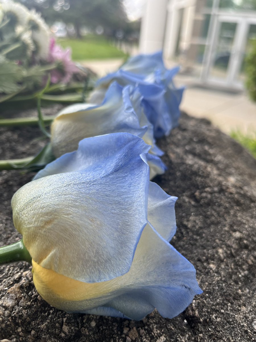 In honor of National Peace Officers Memorial Day, we take time to remember and honor the women and men who sacrificed everything in service of their communities. Their lives will never be forgotten 💙