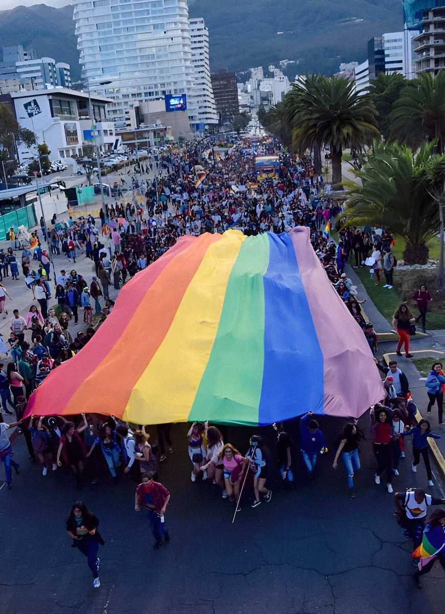 1/2🪡🧵Si la piel de todes quienes formamos parte de las #DiversidadesSexoGenérica🏳️‍🌈 e  #IdentidadDeGénero🏳️‍⚧️ se volviera morada 💜 de la noche a la mañana... 👇