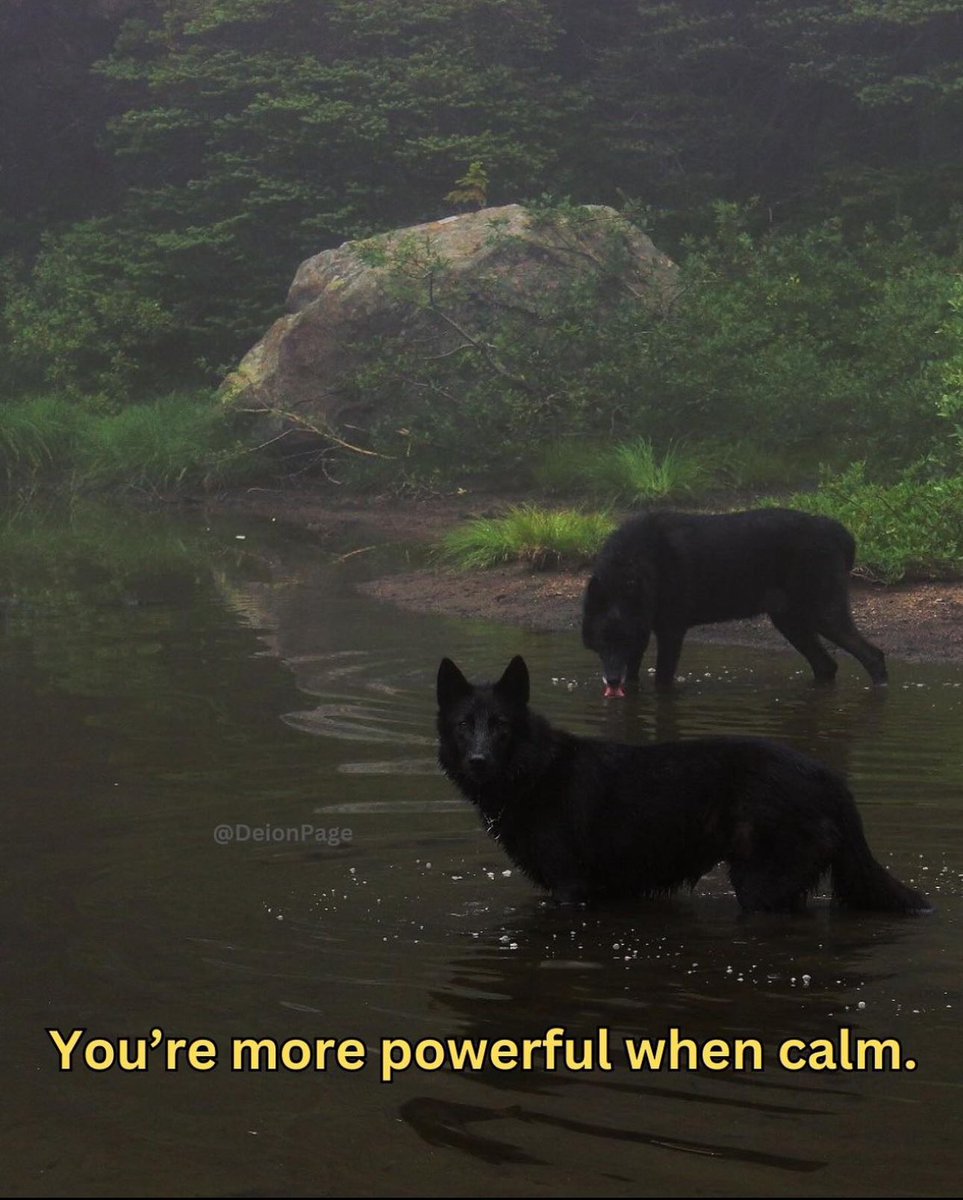 You’re more powerful when calm.