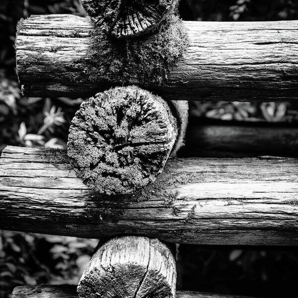 Check out this new photograph that I uploaded to fineartamerica.com! fineartamerica.com/featured/chron… #blackandwhite #rustic #wood #structures #fineartphotography #artforsale #onlineshopping @BigEyePhotos