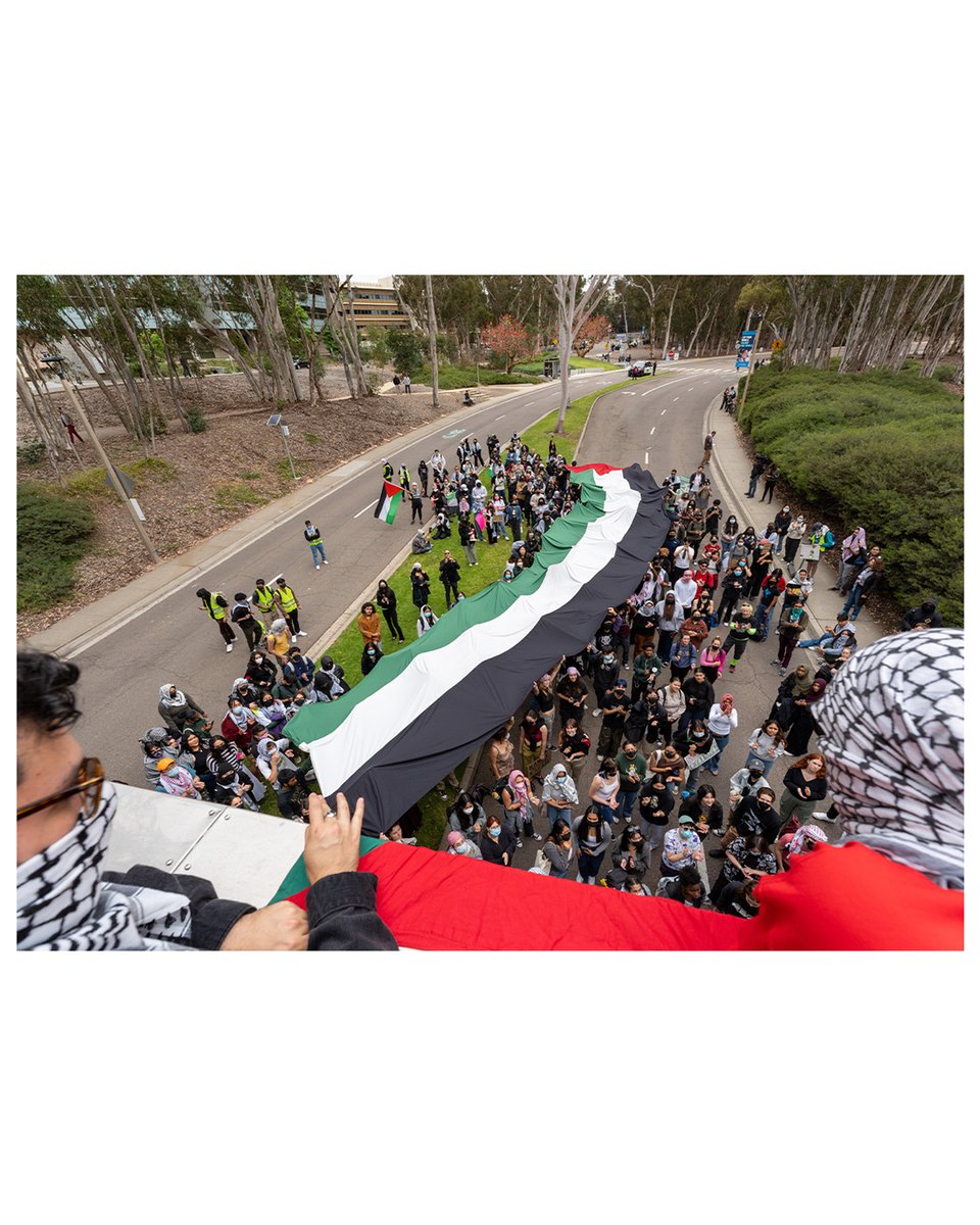 1/ UCSD students marched and rallied throughout campus today on Nakba day, protesting 76 years of apartheid and occupation—and the ongoing genocide of Palestinians. Nakba translates to “catastrophe” and refers to the forced expulsion of Palestinians from their land in 1948.