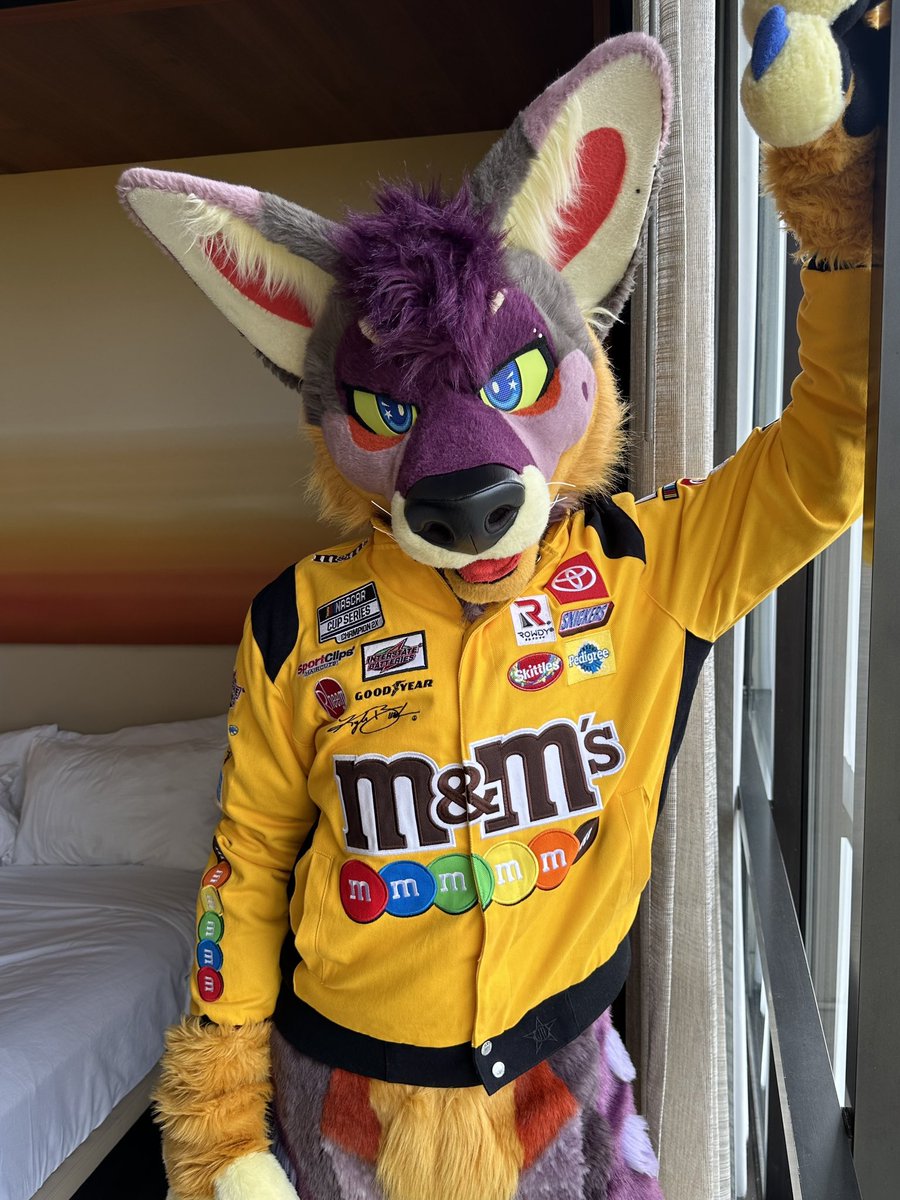 If I drive fast enough maybe they’ll give me candy… #PNWorksWednesday

📸: @Chase_Retriever