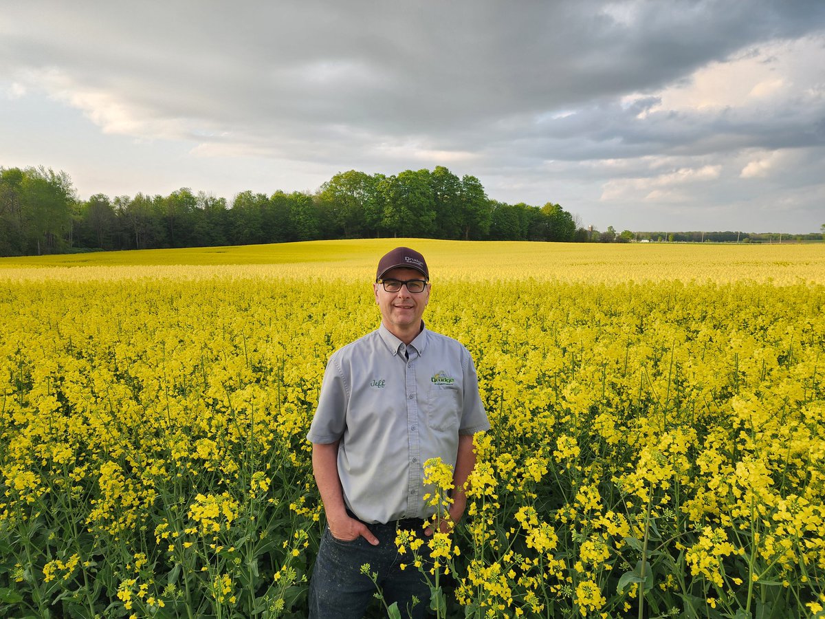 Roger, you would have loved to see how well the Canola is doing! We miss you my brother!