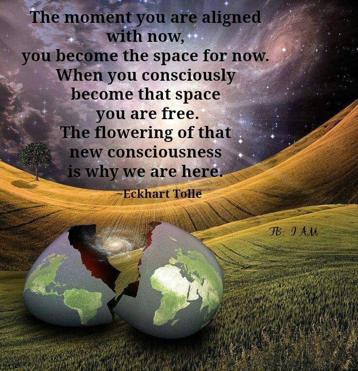 #eternalnow #aligned #alignedtribe #ascension #embracethepresent #gratitude #heartspace #higherself  #freeyourmind #freeyoursoul #newearth #embodiment #soulfreedom #sovereignty #cosmicconsciousness #5d #multidimensional #selfrealization #soulwisdom #newconsciousness