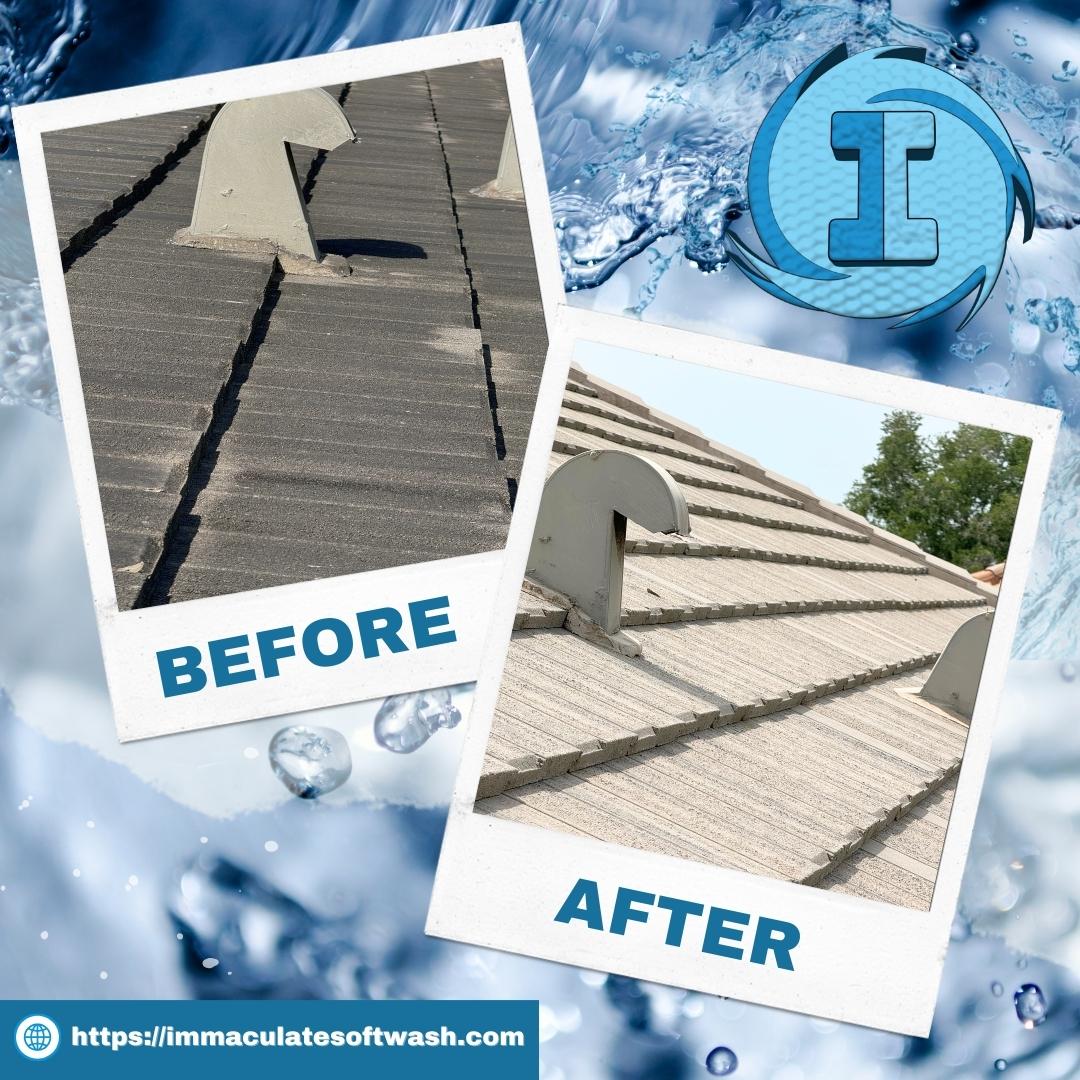 🏡 Are you looking to give your property a fresh, clean look this Spring? Look no further than Immaculate SoftWash! 

immaculatesoftwash.com/roof-cleaning/
.
.
#RoofWashing #SpringCleaning #Roof #RoofWashing #RoofCleaning