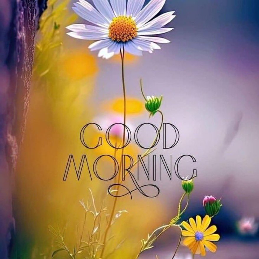 THURSDAY MUSINGS 🌷🍃🌷🍃 True Bhakti can arise only in a pure heart that has emptied itself of all desires, knowing that the value of the entire world is cipher. Seek out positive people instead of trying to change negative ones. Be Positive Be Happy 😃 GOOD MORNING EVERYONE 🌷