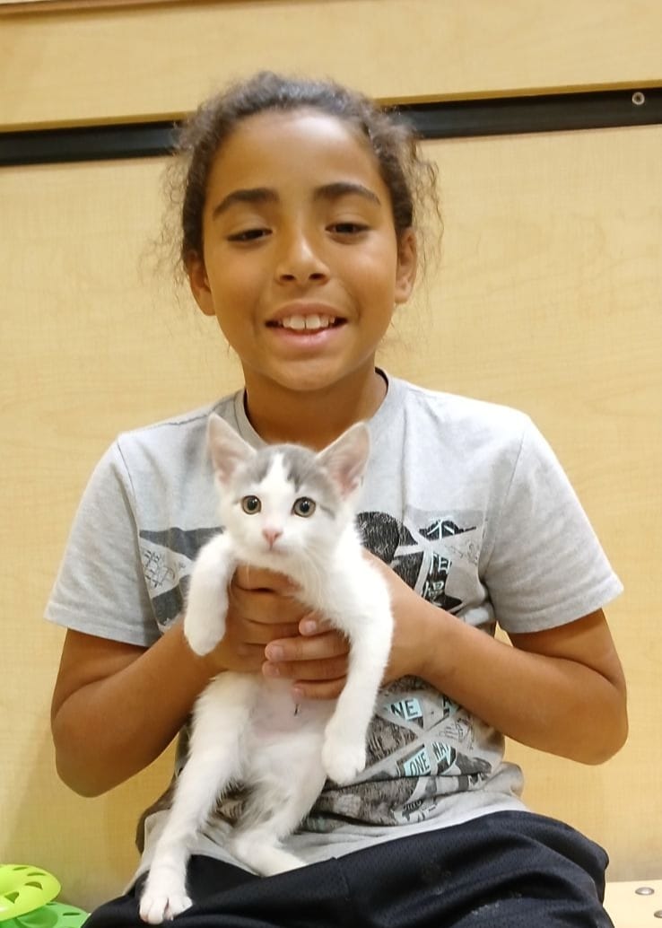 😍Adopted!!😍 Bubbles is going to her new home to be spoiled and very well loved as the only kitty in the house. She can't wait to get to her new home. #gotchaday #fureverhome #kittens #petsmartcharities #whiskerwednesday