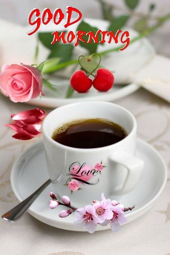 Dawn, are you awake yet? Can you have some morning coffee with me?
#goodmoning 
#newday