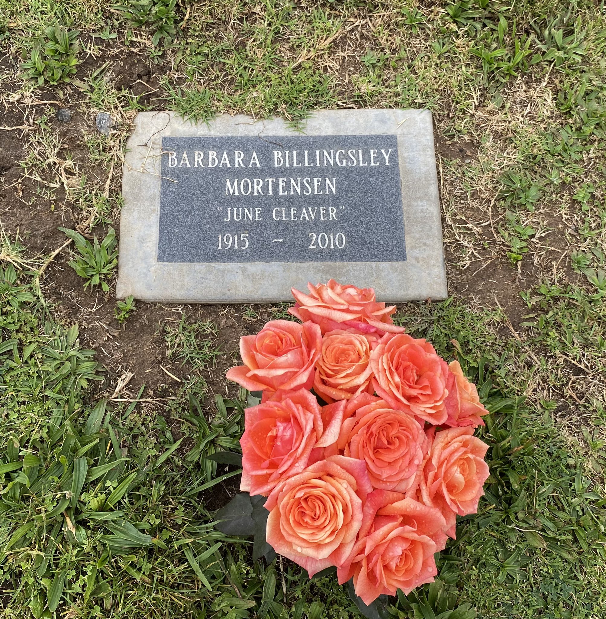 Barbara Billingsley Grav