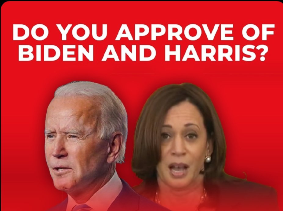What do you think of the job Biden and Harris have been doing over the past four years?