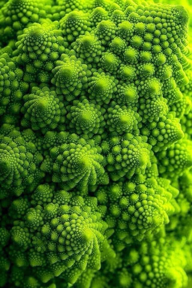Behold Romanesco broccoli. Here, there, everywhere: patterns. From the micro to the macro. As above so below. #ufoX #ufotwitter #synchronicity #fractals #sacredgeometry