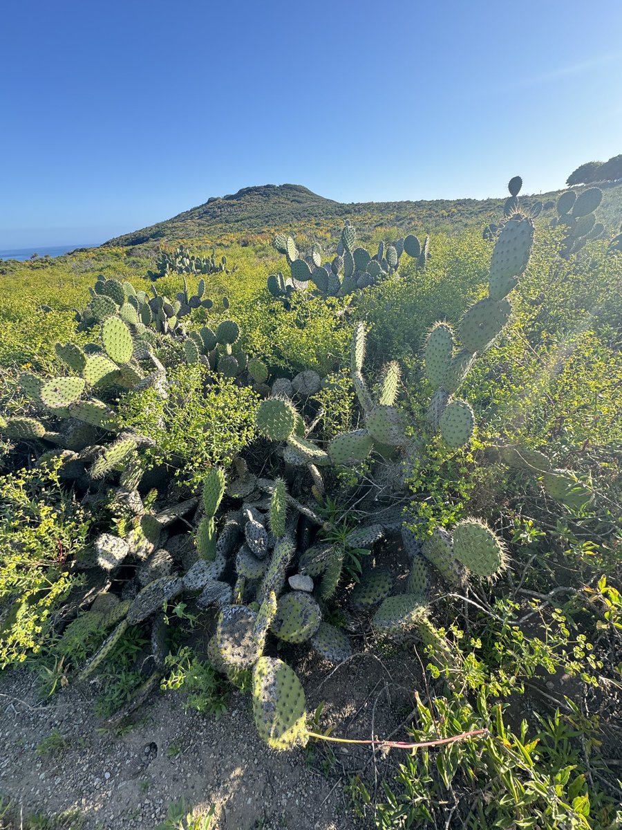 Bryanicolt's tweet photo. Beauty of California https://t.co/OBNBgfMsuz