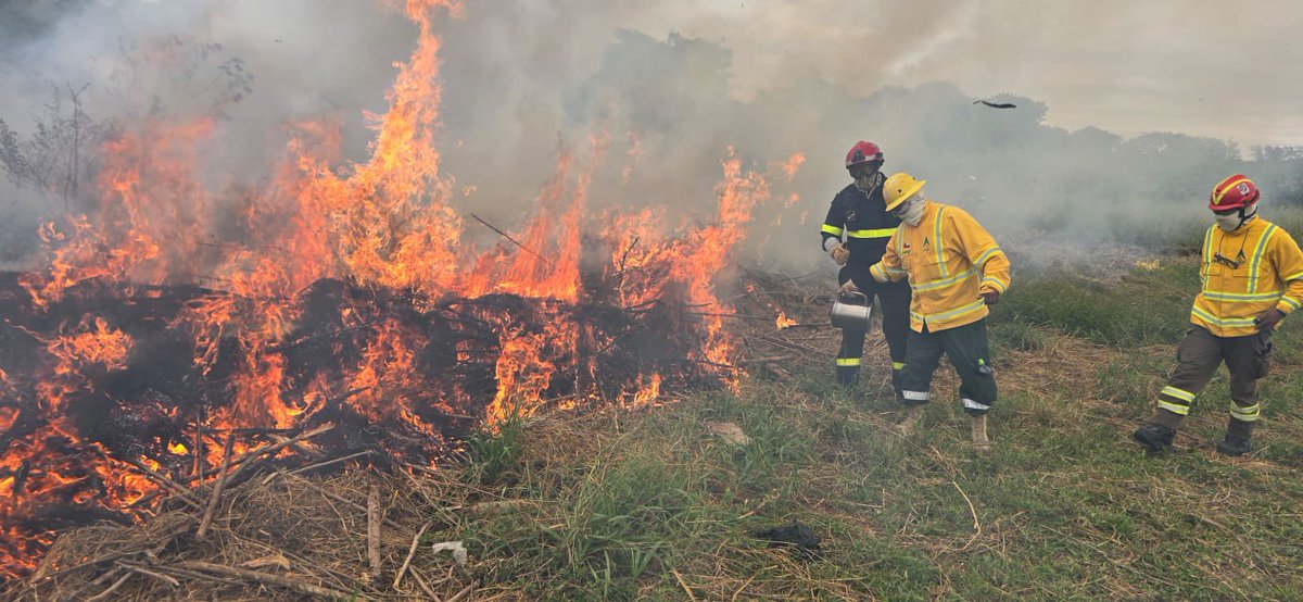 phsallenave's tweet image. La @CoopSecuDefense 🇫🇷🇧🇴 se porte bien avec @SecCivileFrance @UIISC5CORTE 
Début de semaine atypique
1️⃣ techniques FDF depuis bateau pompe 
2️⃣ démonstration utilité feu tactique + brûlage dirigé 
Toujours en action avec @roos_helene @FranceBolivie