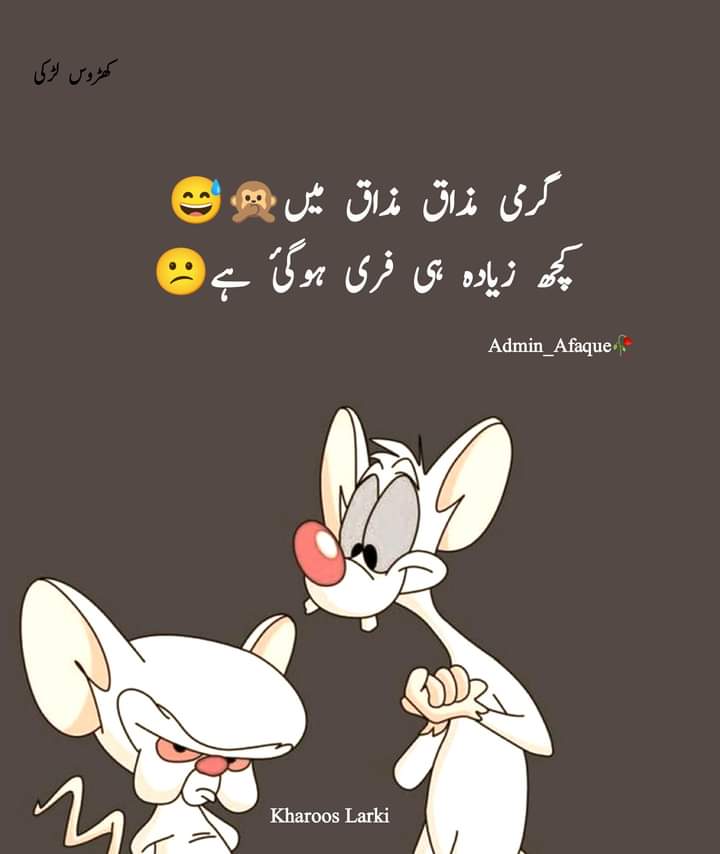 Good morning X Family 
Kasy hn ap sb