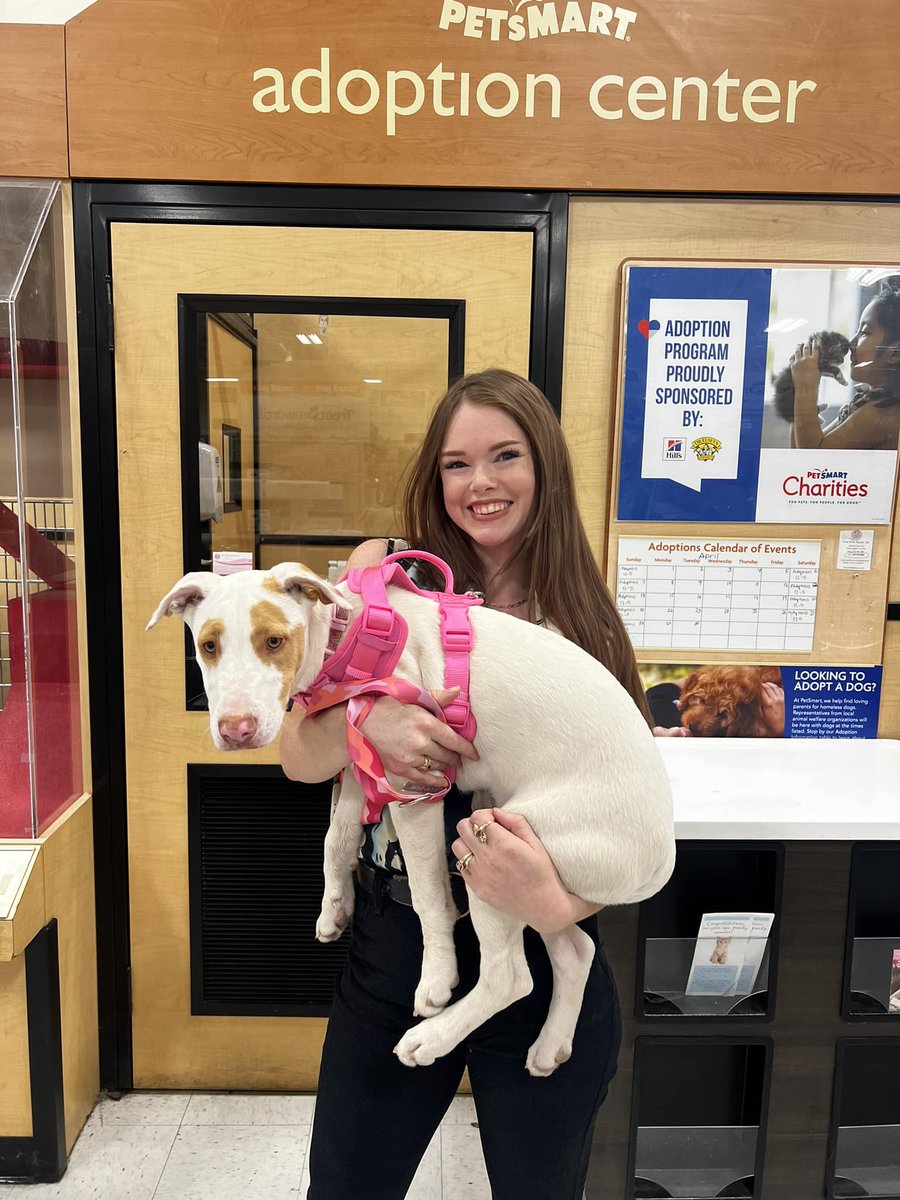 😍Adopted!!😍 Yaaay!! Cinderella came to us from Hawaii and waited a long time to find her PAWfect home! Happy Gotcha Day sweet girl! We are so happy for you! #gotchaday #fureverhome #puppies #petsmartcharities #whiskerwednesday