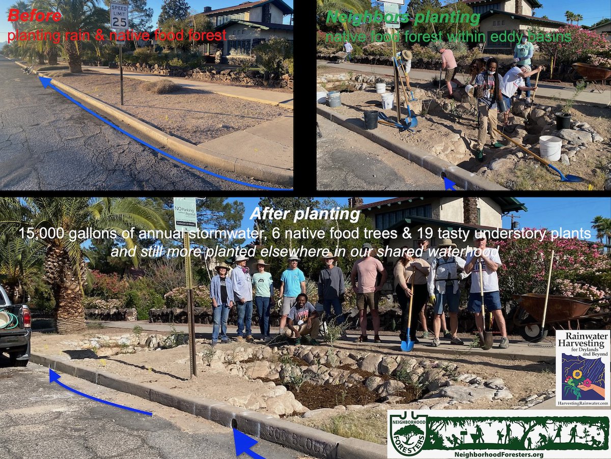 Our annual neighborhood rain & native food forests planting was another success in 2024. See link below for the photos, full story, and more... dunbarspringneighborhoodforesters.org/2024/05/annual…