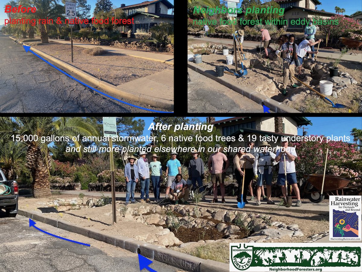 Our annual neighborhood rain &amp; native food forests planting was another success in 2024.

See link below for the photos, full story, and more...

dunbarspringneighborhoodforesters.org/2024/05/annual…