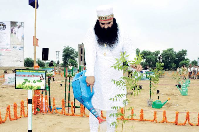 The benefits of tree plantation are much more. So, understand these issues from heart & soul instead of mind. #GoGreen  🌳🌴🌴🌳🌴
  Saint Dr. MSG #GoGreen #GoGreen