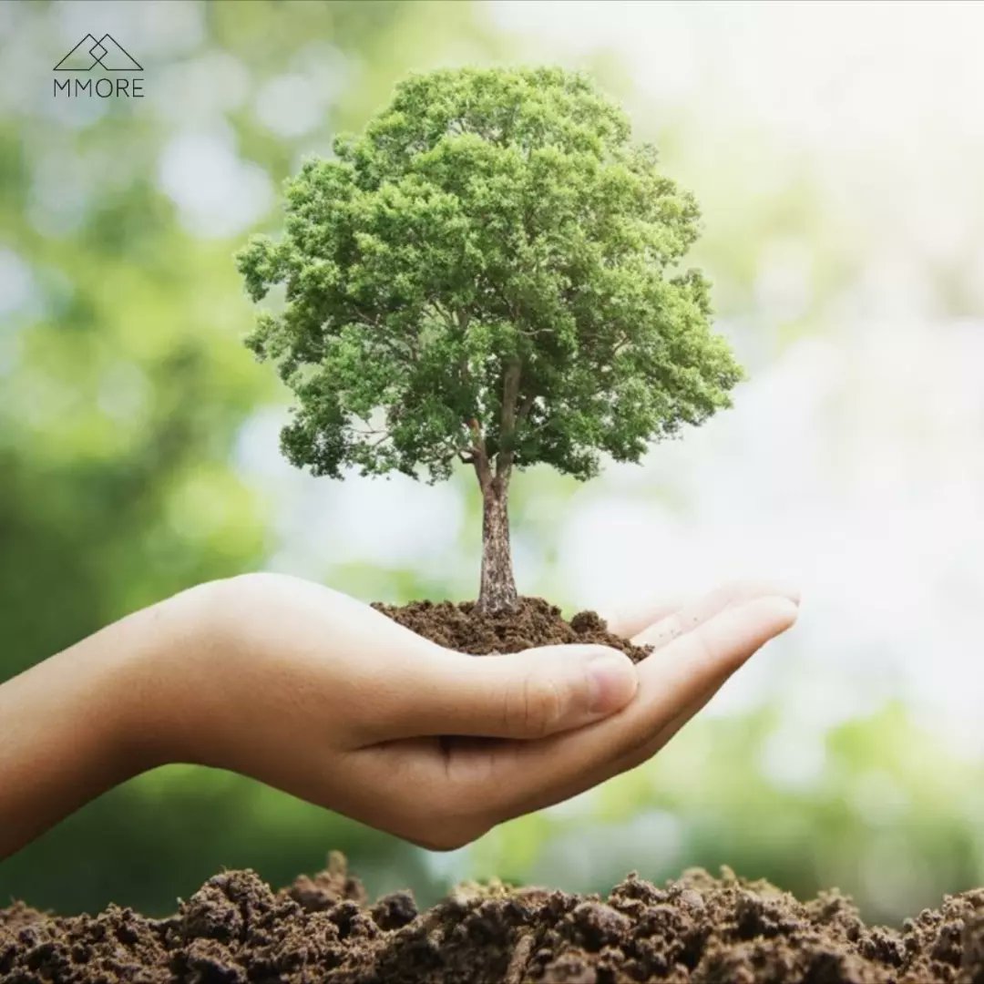 #GoGreen 💚 and save the nature🏞️, Change yourself, not the God gifted nature. Join in Dera Sacha Sauda mega tree plantation, And save our 🌎 for next generation.
Ram Rahim.