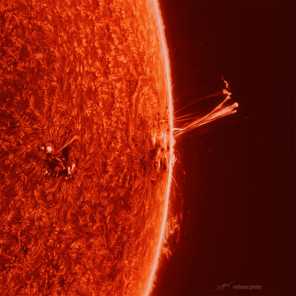 What did the monster active region that created the recent auroras look like when at the Sun's edge? There, AR 3664 better showed its 3D structure. Pictured, a large multi-pronged solar prominence was captured extending from chaotic sunspot region AR 3664 out into space, just one