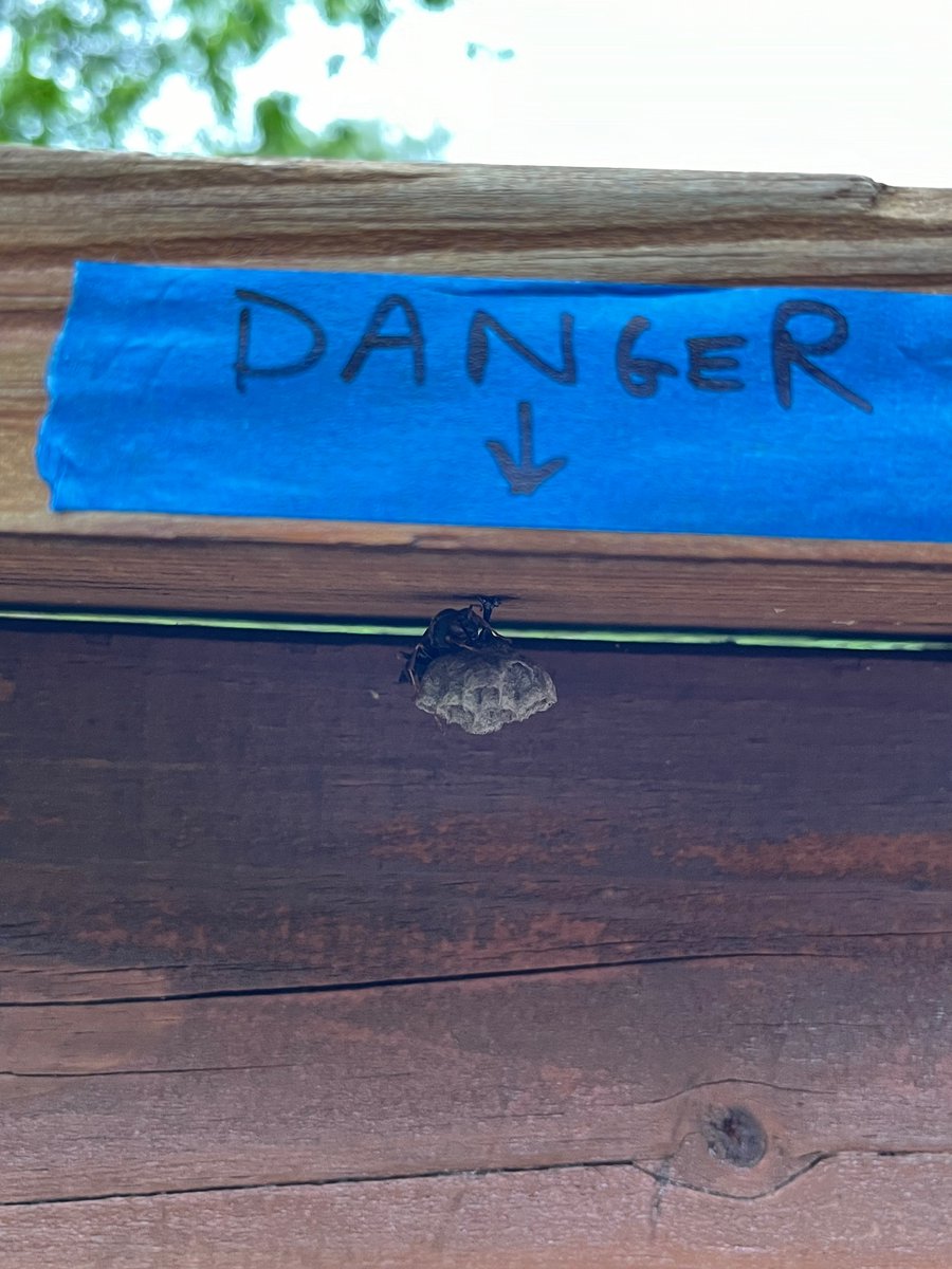 Scott Nacko tweet media